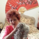 ���������� ������, ���� ������� �����, 69 ���, ������������ ��� ������, ����� � ���������, c�������� ���������