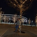 ���������� ���������, ���� ������� �����, 33 ����, ������������ ��� ������, ����� � ���������