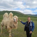  ,   , 35 ,   c 
