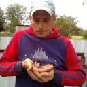  ,   , 46 ,     , c 