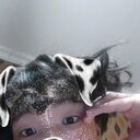  ,   , 21 ,   ,   