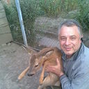 ���������� ���������, ���� ������� �������, 65 ���, ������������ ��� ������