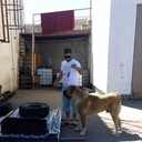 ���������� �����-���������, ���� ������� ���, 47 ���, ������������ ��� ������, ����� � ���������, c�������� ���������