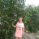  ,   , 33 ,     , c 