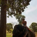 ���������� ������, ���� ������� �����, 39 ���, ������������ ��� ����� � ���������, c�������� ���������