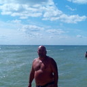  ,   Vit, 55 ,   