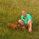  ,   , 53 ,   