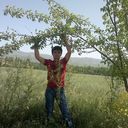 ���������� �������, ���� ������� ������, 33 ����, ������������ ��� ������, ����� � ���������, c�������� ���������, ���������