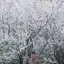 ���������� ������ ���, ���� ������� ������, 44 ����, ������������ ��� ������, ����� � ���������, c�������� ���������