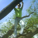 ,   , 36 ,   ,   , c , 