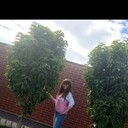  -,   , 31 ,   