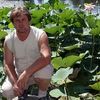 ,   , 67 ,   