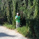  ,   , 71 ,   c 
