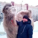 ���������� ���������, ���� ������� �����, 43 ����, ������������ ��� c�������� ���������