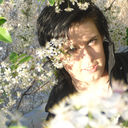 ���������� ������, ���� ������� ������, 38 ���, ������������ ��� ������