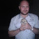 ���������� ����, ���� ������� �����, 40 ���, ������������ ��� c�������� ���������