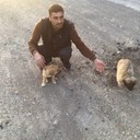 ���������� ���������, ���� ������� Romik, 42 ����, ������������ ��� ������, ����� � ���������, c�������� ���������