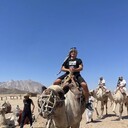  -,   , 38 ,   ,   , c , 