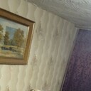 ���������� �����, ���� ������� ��������, 38 ���, ������������ ��� c�������� ���������