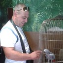 ���������� ��������, ���� ������� �����, 38 ���, ������������ ��� ������, ����� � ���������, c�������� ���������