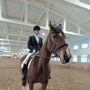 ���������� ����, ���� ������� ������, 26 ���, ������������ 