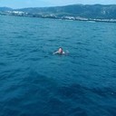 ���������� ������, ���� ������� Muxiddin, 32 ����, ������������ ��� ������, ����� � ���������, c�������� ���������