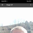 ���������� �����������, ���� ������� ������, 35 ���, ������������ ��� ������, ����� � ���������, c�������� ���������, ���������