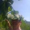 ���������� ������, ���� ������� �������, 43 ����, ������������ ��� ������, ����� � ���������, c�������� ���������, ���������