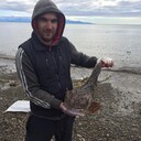 ���������� �����������, ���� ������� ����, 39 ���, ������������ ��� ������, ����� � ���������