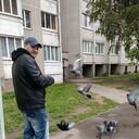 ���������� ����������, ���� ������� �������, 36 ���, ������������ ��� ������, ����� � ���������, c�������� ���������