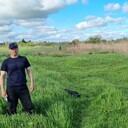 ���������� ���������, ���� ������� �������, 45 ���, ������������ ��� ������, ����� � ���������, c�������� ���������