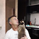  ,   , 53 ,  