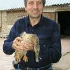  ,   , 52 ,   ,   , c , 