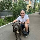 ���������� ����, ���� ������� ������, 36 ���, ������������ ��� ������, ����� � ���������, ���������