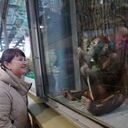  ,   Yana, 43 ,   ,   , c 