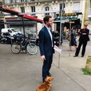 ���������� Saint-Antoine, ���� ������� Nelson hart, 60 ���, ������������ ��� ������, ����� � ���������