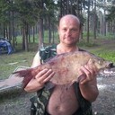  ,   , 50 ,   c 
