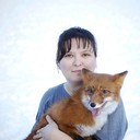 ���������� �����-���������, ���� ������� �������, 37 ���, ������������ ��� ����� � ���������, c�������� ���������