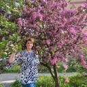 ���������� �����-���������, ���� ������� ���, 54 ����, ������������ ��� ����� � ���������, c�������� ���������