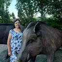 ���������� ������, ���� ������� �������, 65 ���, ������������ ��� c�������� ���������