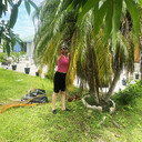  Palm City,   Oksana, 51 ,     , c 