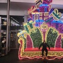 ���������� ������, ���� ������� Sherali, 29 ���, ������������ ��� ������, ����� � ���������