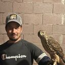 ���������� �������, ���� ������� �����, 36 ���, ������������ 