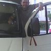  ,   , 49 ,  