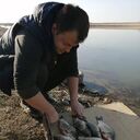 ���������� ������, ���� ������� ���������, 31 ���, ������������ ��� ������, ����� � ���������