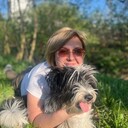 ���������� �����-���������, ���� ������� �������, 40 ���, ������������ ��� c�������� ���������