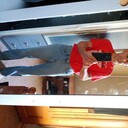  Absdorf,   , 76 ,   ,   