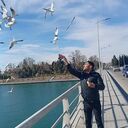 ���������� ������, ���� ������� Ffggd, 41 ���, ������������ ��� ������, ����� � ���������, c�������� ���������, ���������