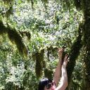 ���������� �����, ���� ������� ����, 43 ����, ������������ ��� ������