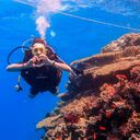 ���������� ������, ���� ������� ����, 33 ����, ������������ ��� ������, ����� � ���������